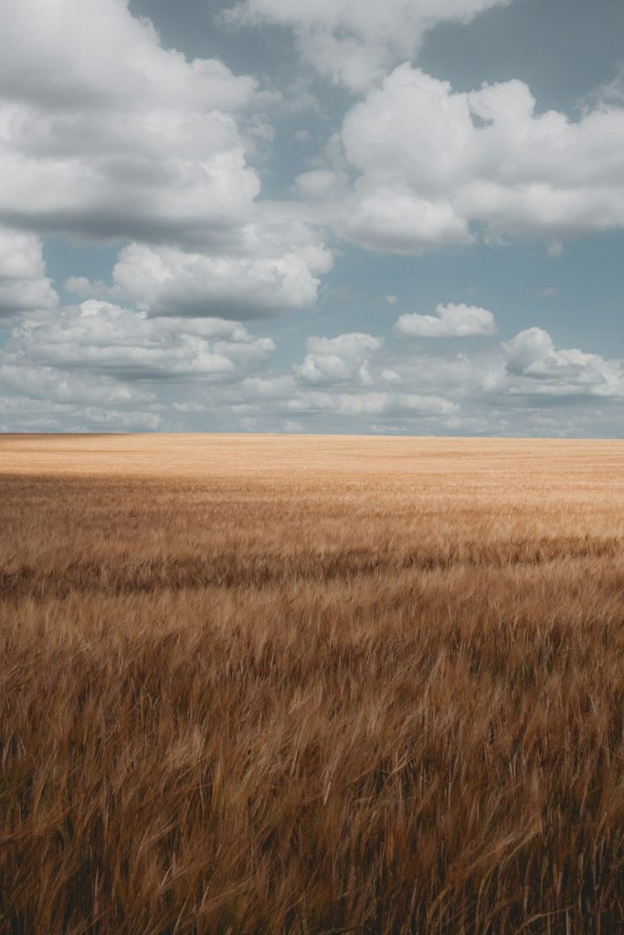 Wide farmland landscape under a cloudy sky